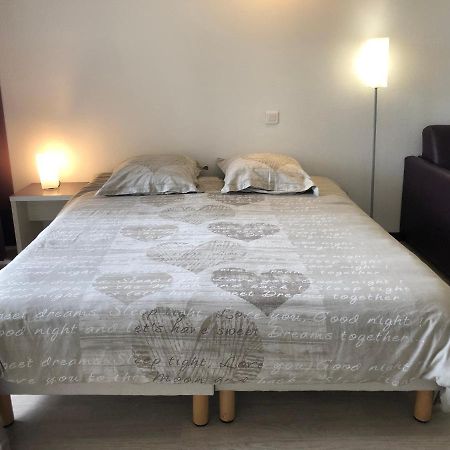 Appart Lourdes 100 M Gare - 4 Places Avec Balcon 10Mn Sanctuaire Zewnętrze zdjęcie